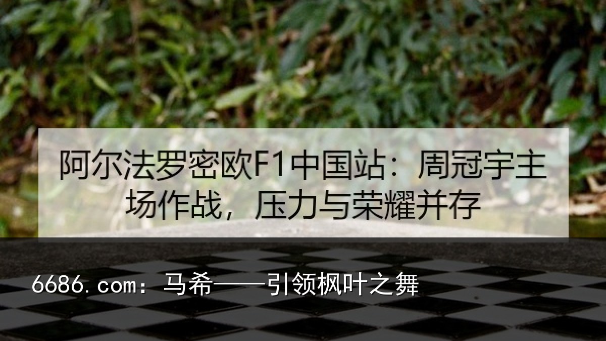 6686.com：马希——引领枫叶之舞