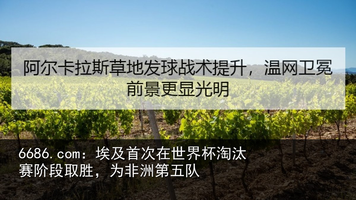 6686.com：埃及相关情况赛阶相关情况队