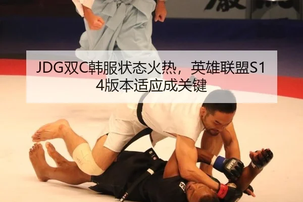 JDG双C韩服状态火热，英雄联盟S14版本适应成关键