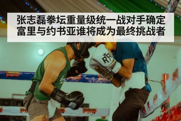 张志磊拳坛重量级统一战对手确定富里与约书亚谁将成为最终挑战者